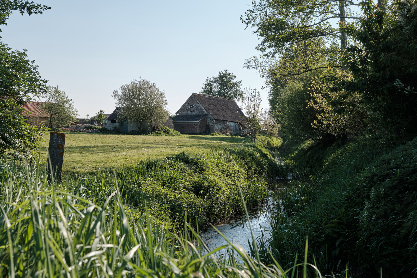 In and around my village...