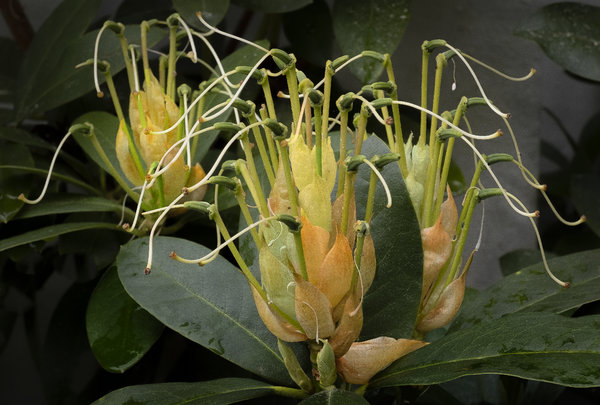 _DSF0970 (kopia).JPG