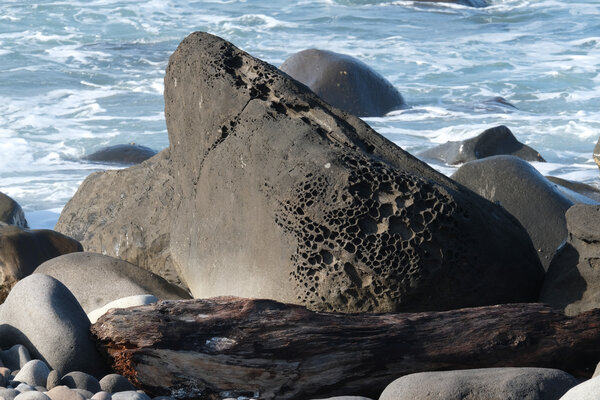 volcanic rock & driftwood