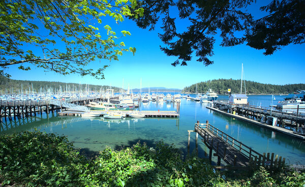 Colors of Friday Harbor