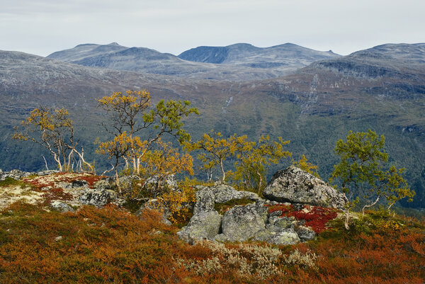Autumn in Reinheimen national park, Norway