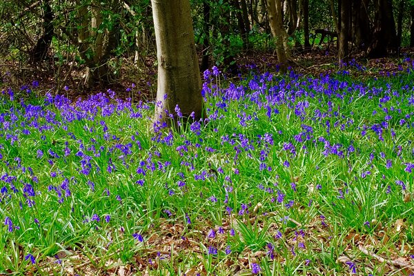 216CCD20-58AC-44E3-BD67-3817D7B14CC3