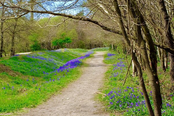 E49EAA61-DCA8-40AC-97C1-409C7DAB951E