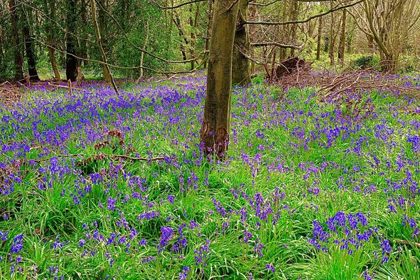 FD86CC74-2BA5-4C95-A942-34978749E705