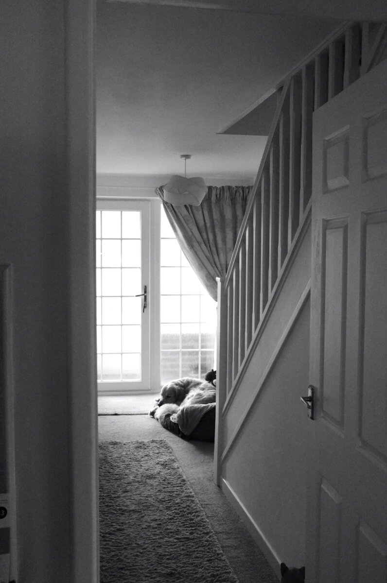 X100 Black & White Photography