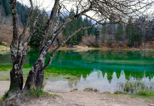 Lake Welsperg