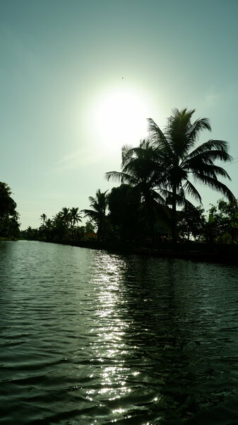 Backwaters of Alleppey