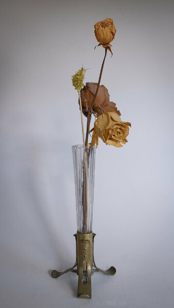 Old and withered !