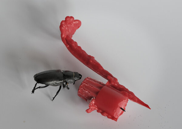 What is this ?