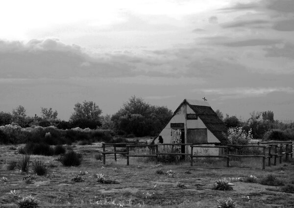 Van Gogh's places - La cabane