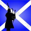 Tom G Scotland
